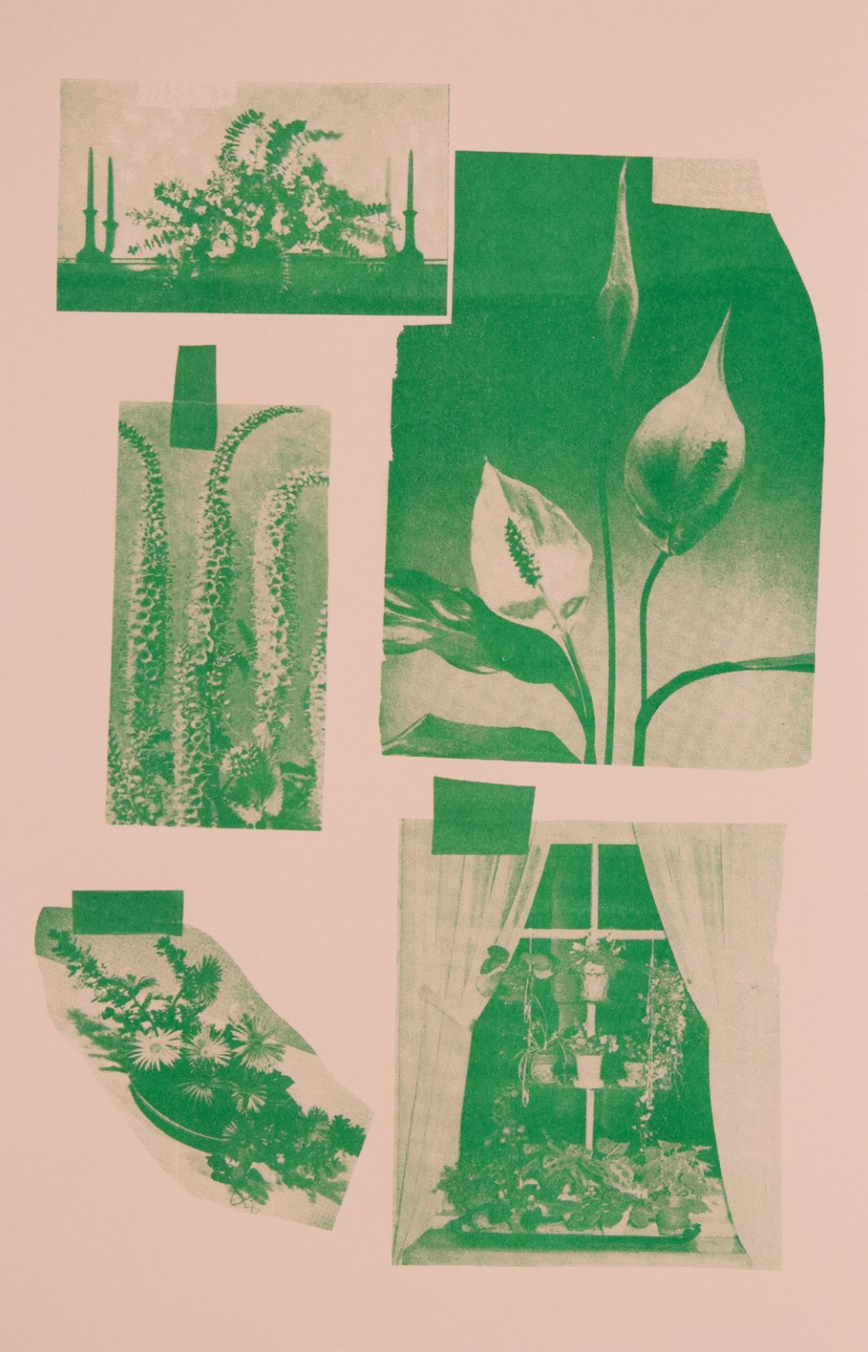 Home Garden 11x17” (Print) - Art Problems