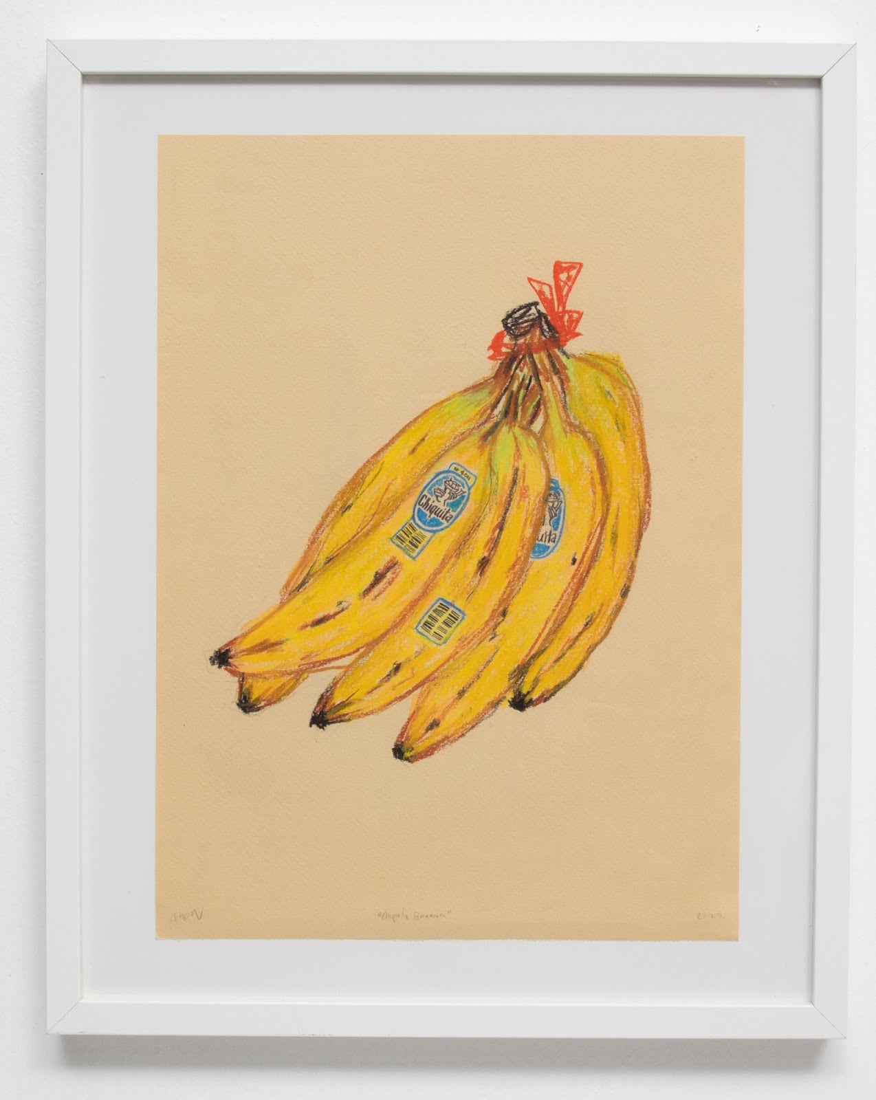 Art Problems (BANANAS 16x20” Framed)
