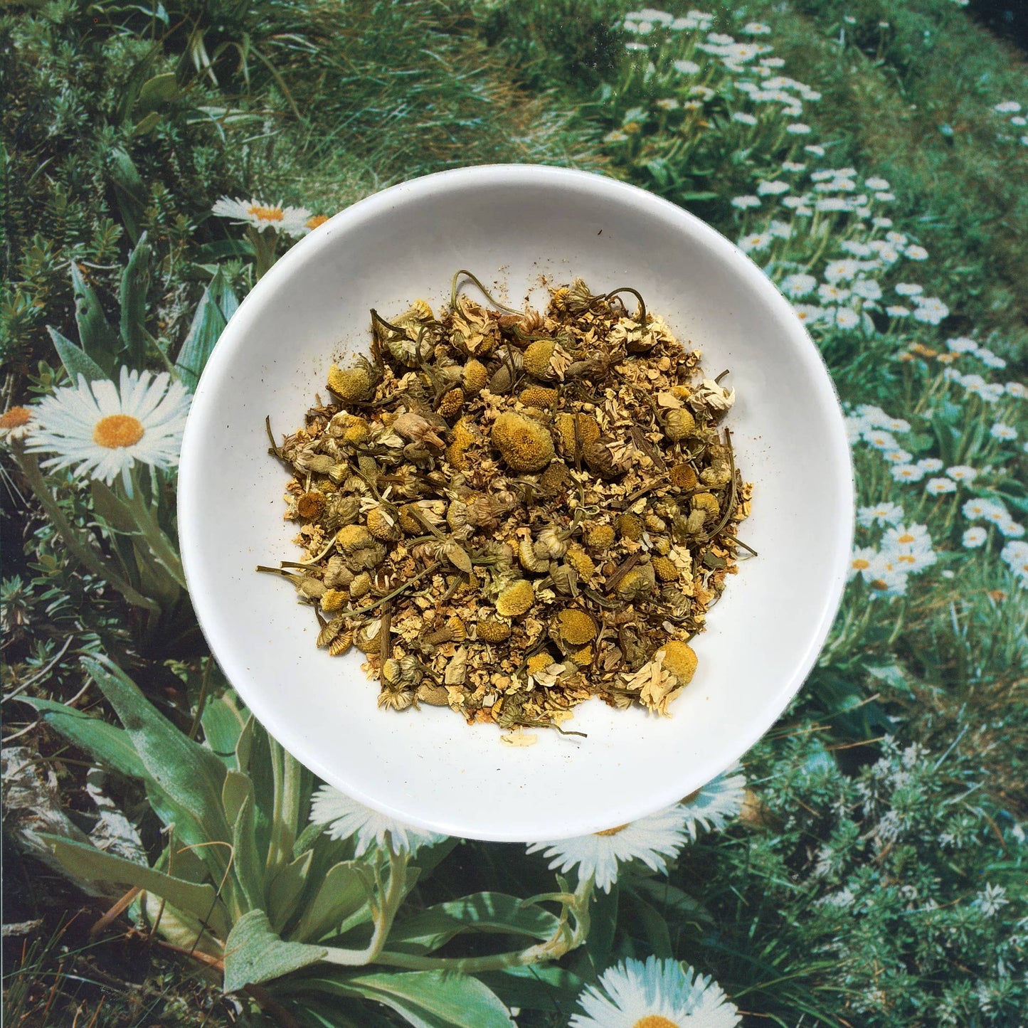 Chamomillionaires Tea