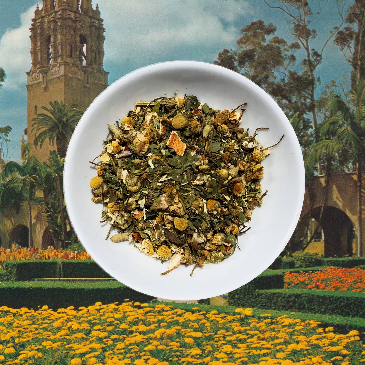 Chronic Wellness Tea