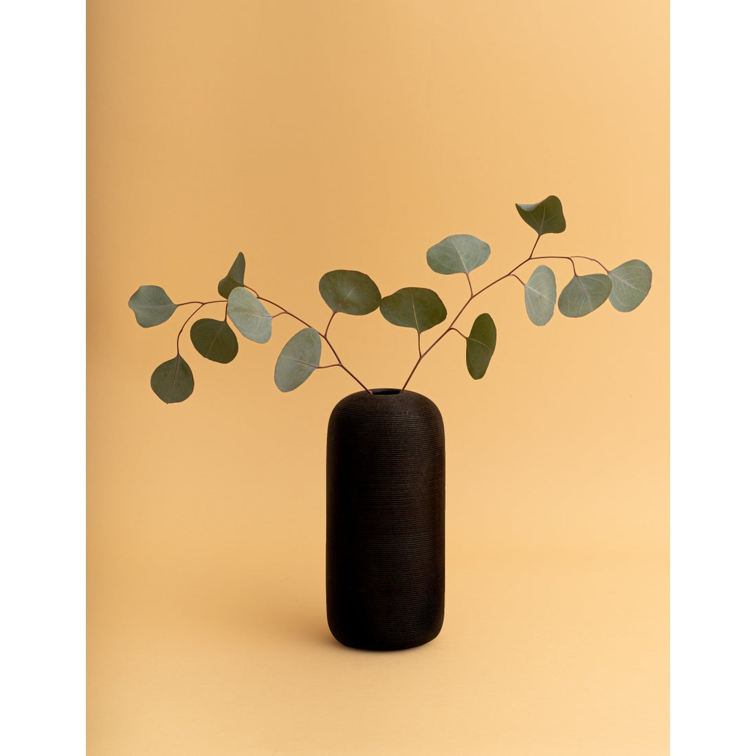 Tall Skinny Neck Vase | Matte Black
