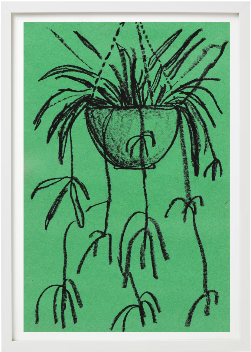 Hanging Plant 11x17” (Print) - Art Problems