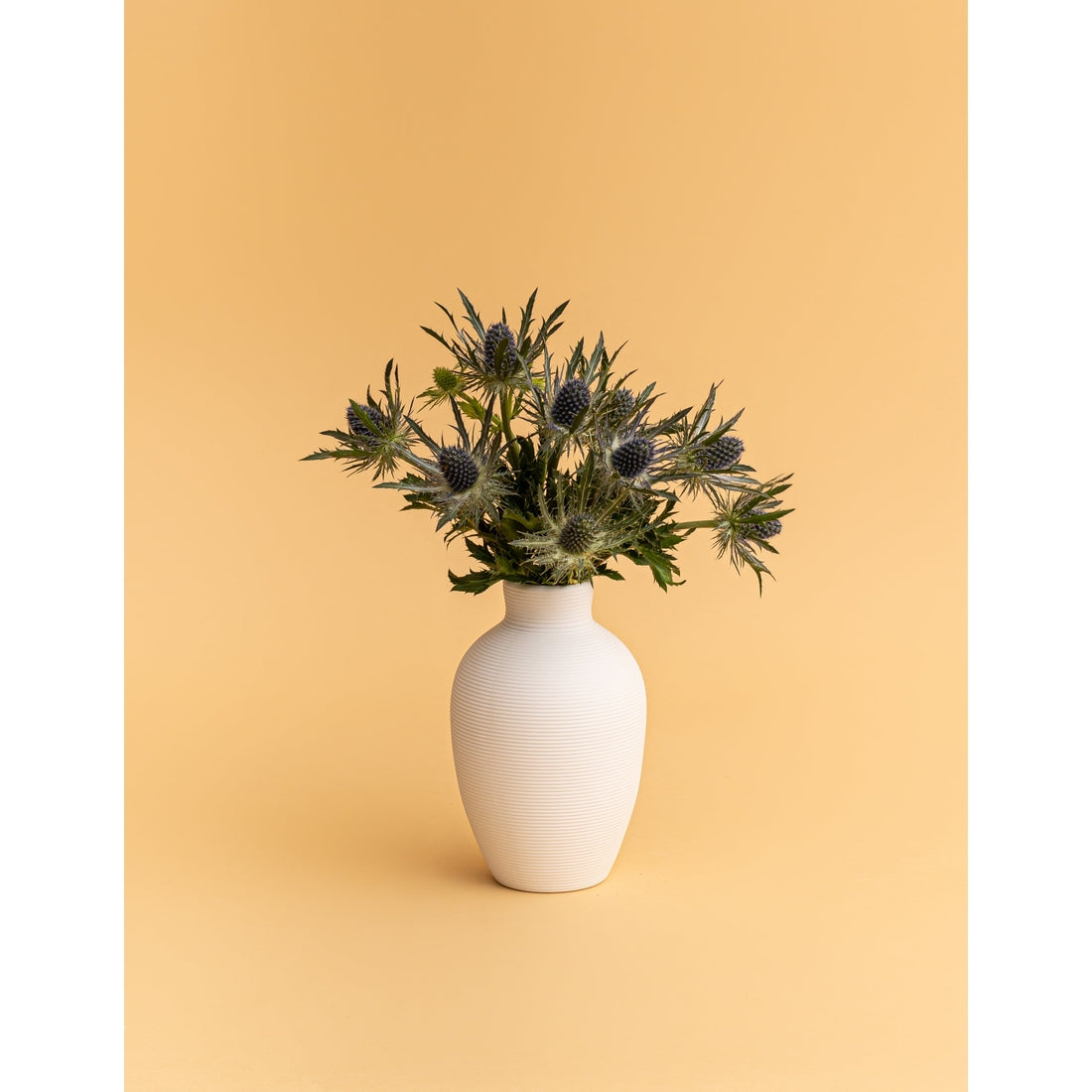 Curvy Vase | Matte White
